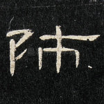 师