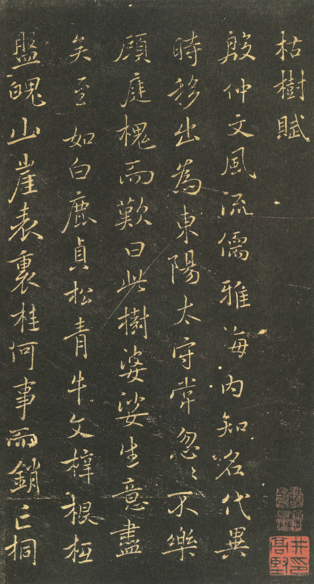 枯树赋褚遂良 - 第1页