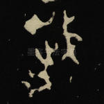 岁