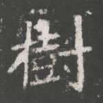 树