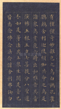 真书无量寿经册页 - 第10页