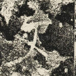 文