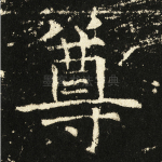 尊
