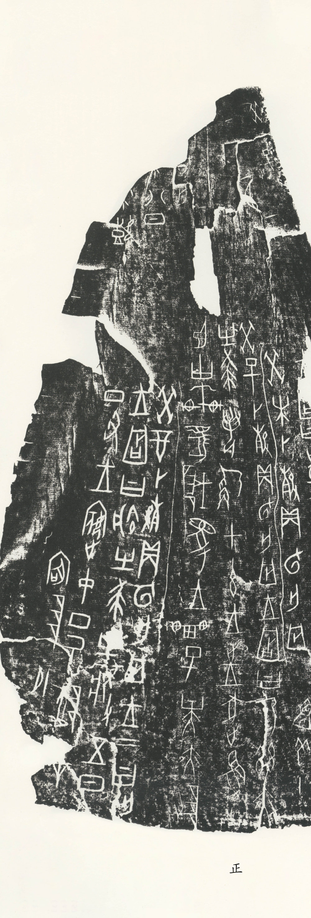 甲骨文3 - 第5页