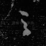 之