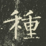 种