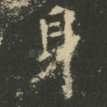 身