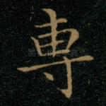 专