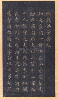 真书无量寿经册页 - 第4页