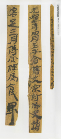 马圈湾汉简 - 第20页