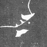 □