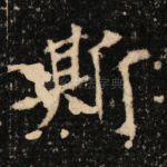 斯