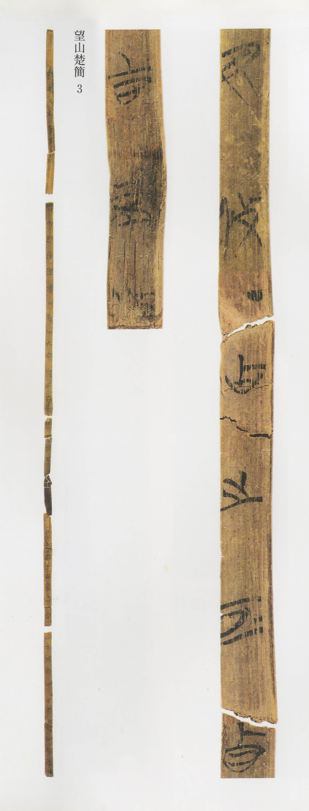 望山楚简 - 第5页