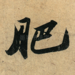 肥