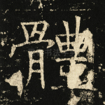 体