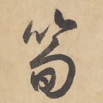 笋
