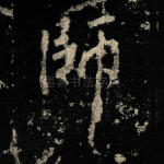 师