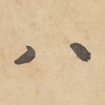 八