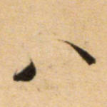 八