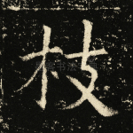 枝
