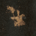 七