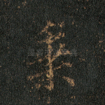 乘
