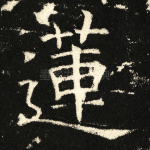 莲