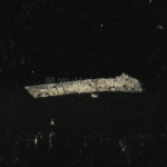 一