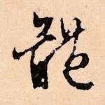 体