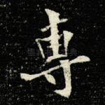 专