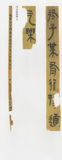 印台前汉简 - 第13页