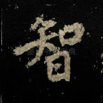 智