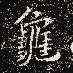 龟