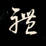 体
