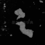 之