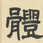 体