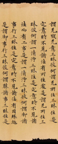 般若波罗蜜三昧品 - 第33页