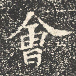 会
