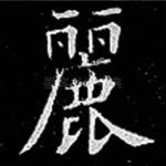 丽