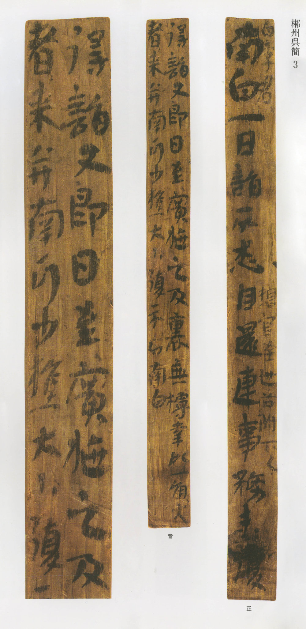 郴州吴简 - 第4页