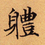 体