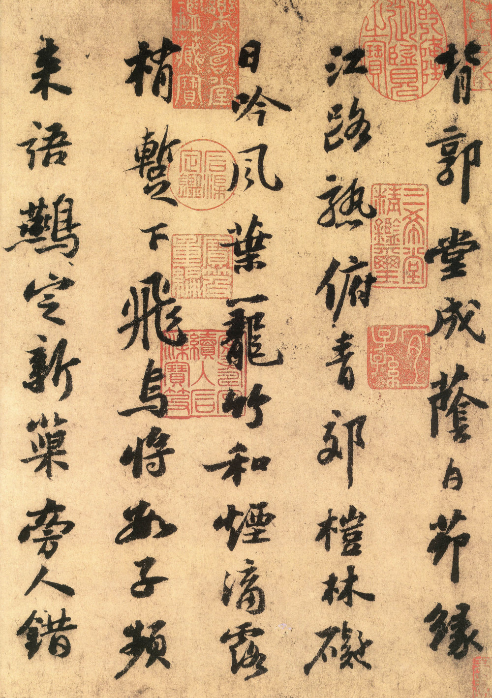 书杜工部桤木诗卷 - 第1页