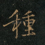 种