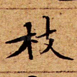 枝