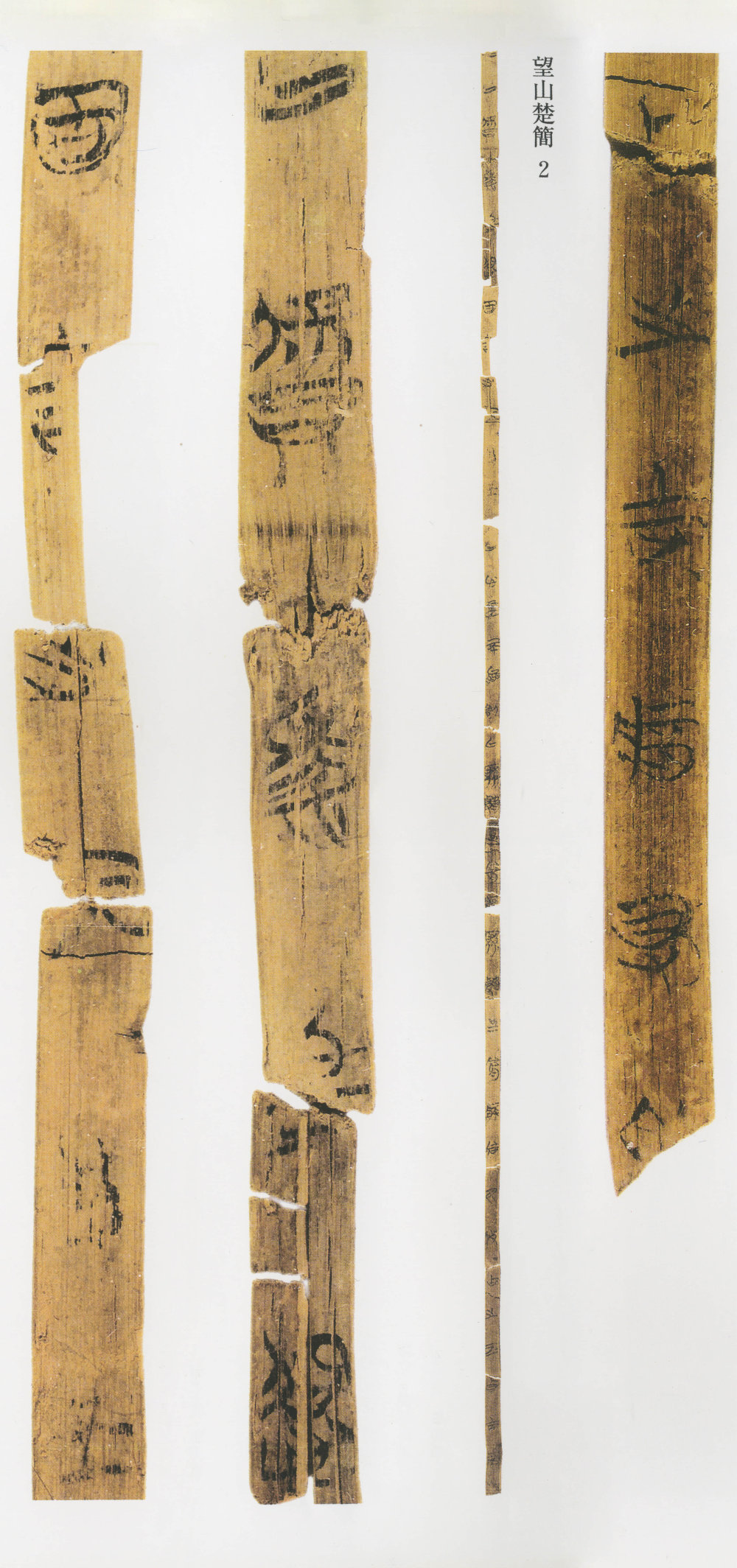 望山楚简 - 第3页