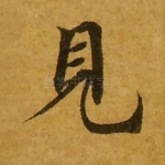 见