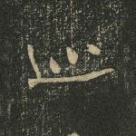 巡