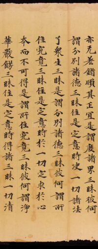 般若波罗蜜三昧品 - 第30页