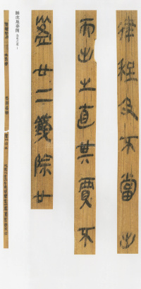 云梦睡虎地秦简 - 第36页