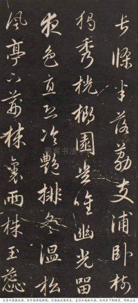 梅花诗 - 第8页